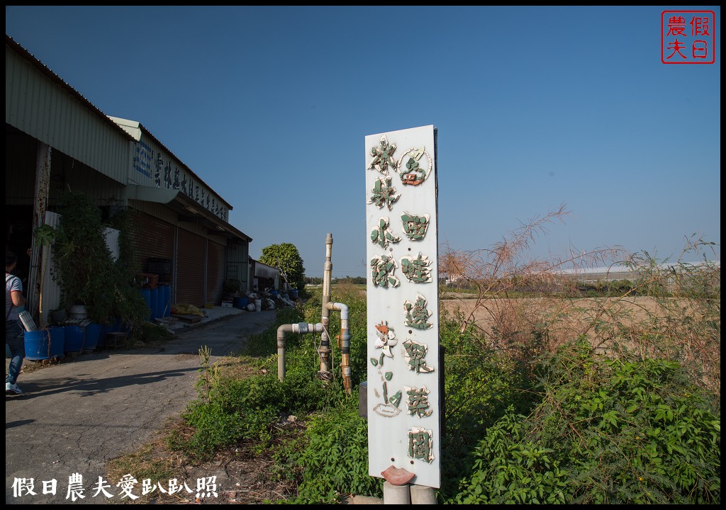 雲林旅遊 | 金水164烏克麗麗農遊海味體驗團一日遊/開臺第一庄顏厝寮/椬梧滯洪池/口湖遊客中心/憨吉秘塘/冠弦吉他樂器社 @假日農夫愛趴趴照