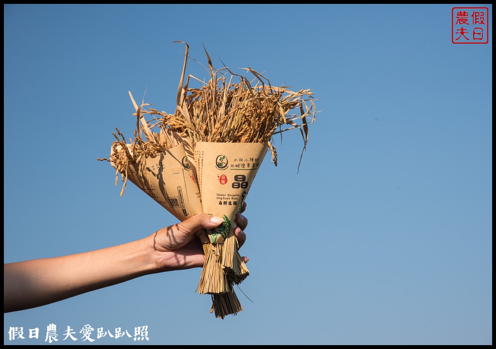 雲林旅遊 | 金水164烏克麗麗農遊海味體驗團一日遊/開臺第一庄顏厝寮/椬梧滯洪池/口湖遊客中心/憨吉秘塘/冠弦吉他樂器社 @假日農夫愛趴趴照