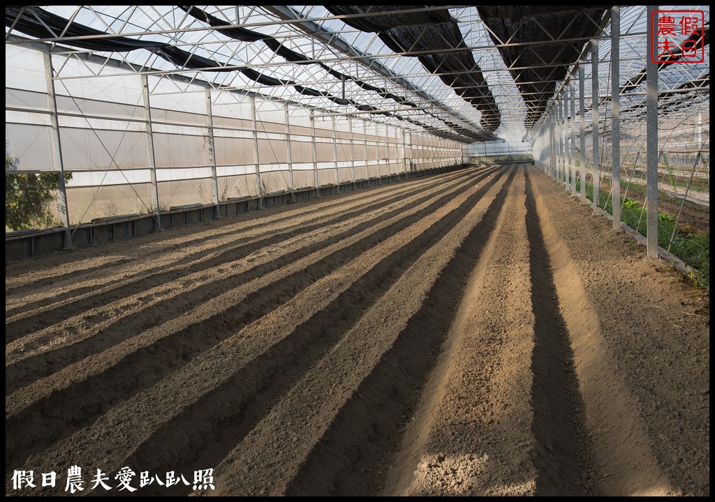 雲林旅遊 | 金水164烏克麗麗農遊海味體驗團一日遊/開臺第一庄顏厝寮/椬梧滯洪池/口湖遊客中心/憨吉秘塘/冠弦吉他樂器社 @假日農夫愛趴趴照