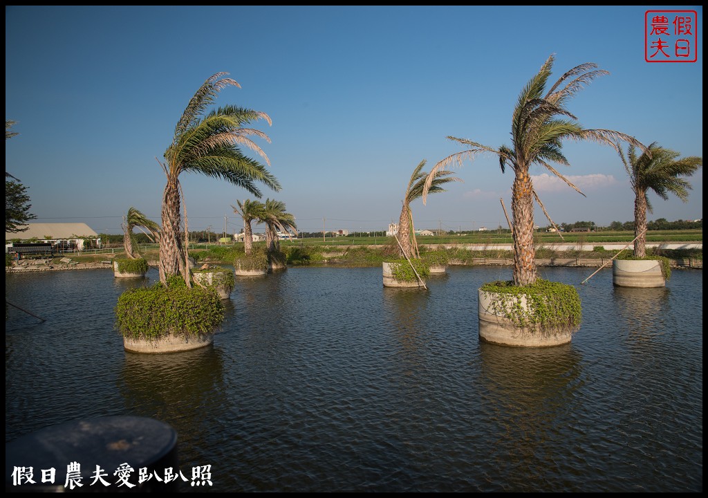 雲林旅遊 | 金水164烏克麗麗農遊海味體驗團一日遊/開臺第一庄顏厝寮/椬梧滯洪池/口湖遊客中心/憨吉秘塘/冠弦吉他樂器社 @假日農夫愛趴趴照