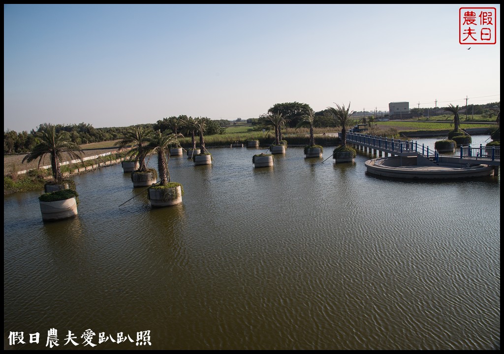 雲林旅遊 | 金水164烏克麗麗農遊海味體驗團一日遊/開臺第一庄顏厝寮/椬梧滯洪池/口湖遊客中心/憨吉秘塘/冠弦吉他樂器社 @假日農夫愛趴趴照