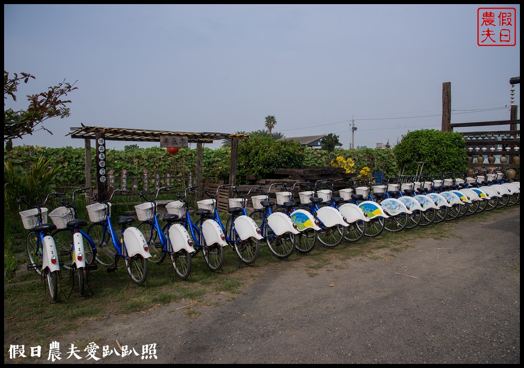 嘉義旅遊 | 新港頂菜園鄉土館×漫遊板頭社區交趾剪粘藝術村/一日遊 @假日農夫愛趴趴照