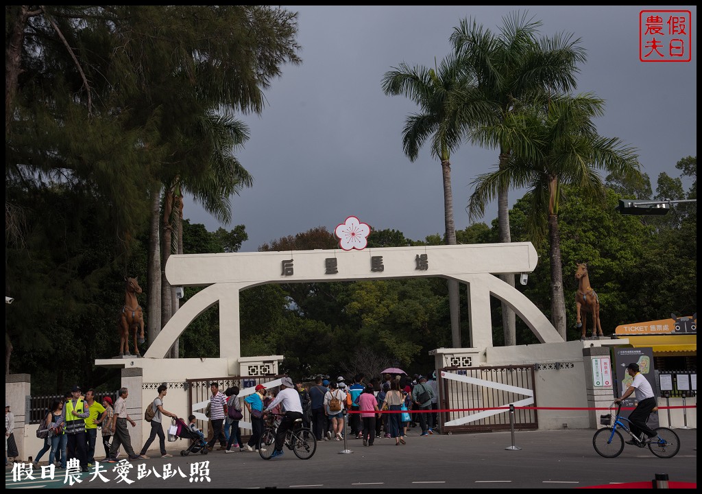 台中旅遊 | 2018臺中花博必看．翠玉白菜在后里馬場園區故宮花蝶館/翠玉小白菜/花舞館/后里森林園區 @假日農夫愛趴趴照