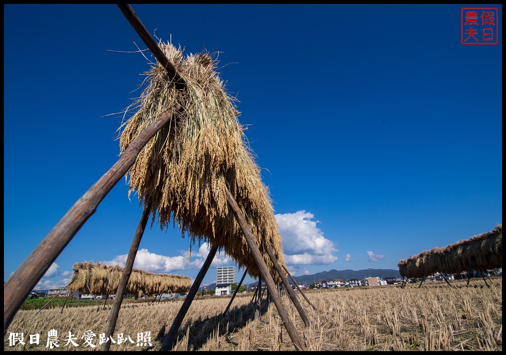 岡山旅遊|桃太郎的故鄉岡山攝影比賽．旅遊拍攝計畫分享/岡山後樂園/舊閑谷學校/倉敷美觀地區/行程規劃 @假日農夫愛趴趴照