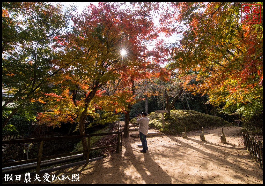 岡山旅遊|桃太郎的故鄉岡山攝影比賽．旅遊拍攝計畫分享/岡山後樂園/舊閑谷學校/倉敷美觀地區/行程規劃 @假日農夫愛趴趴照