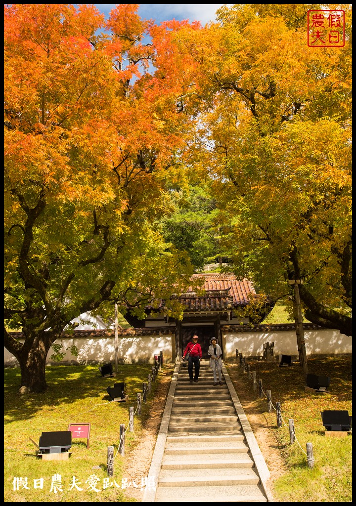 岡山旅遊|桃太郎的故鄉岡山攝影比賽．旅遊拍攝計畫分享/岡山後樂園/舊閑谷學校/倉敷美觀地區/行程規劃 @假日農夫愛趴趴照