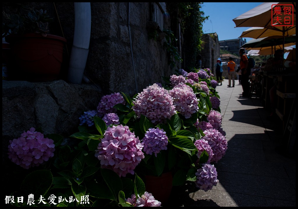 馬祖旅遊 | 北竿芹壁聚落．媲美歐洲地中海石頭山城 @假日農夫愛趴趴照