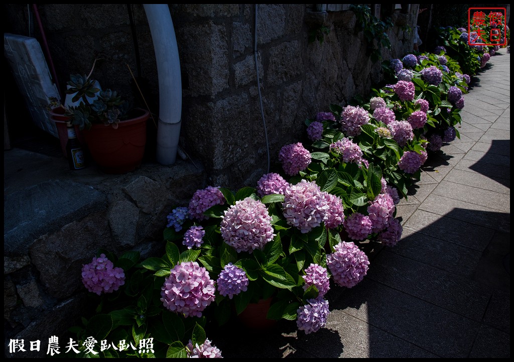 馬祖旅遊 | 北竿芹壁聚落．媲美歐洲地中海石頭山城 @假日農夫愛趴趴照