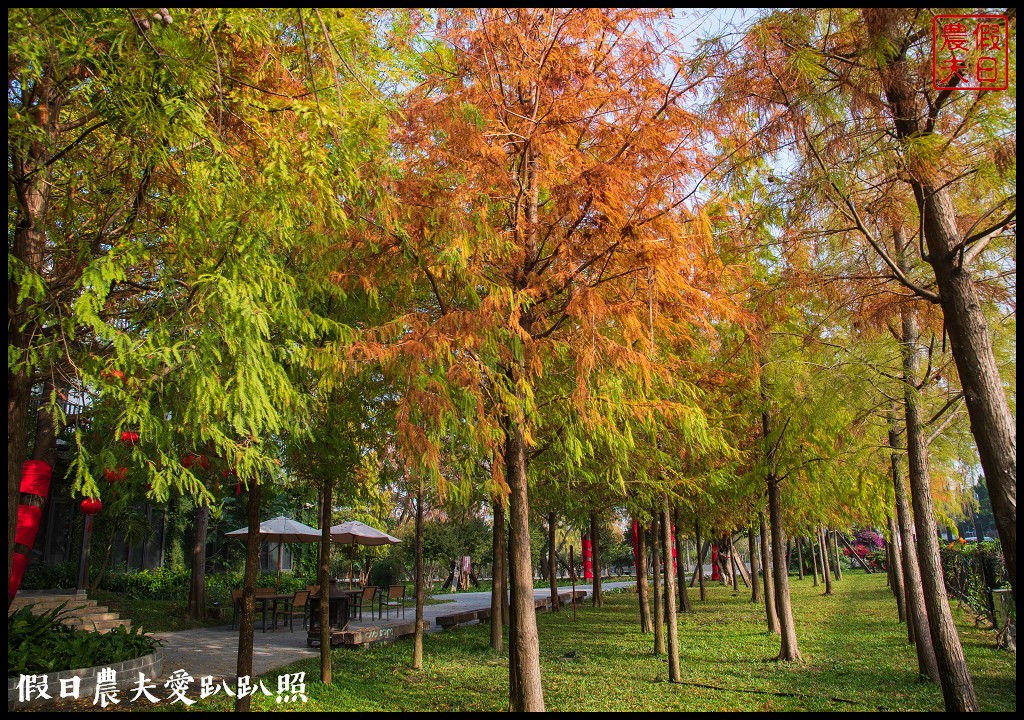 彰化美食 | 北斗家園藝術咖啡牛排館．隱身在落羽松秘境裡的庭園餐廳/團體聚餐/約會/田尾公路花園 @假日農夫愛趴趴照