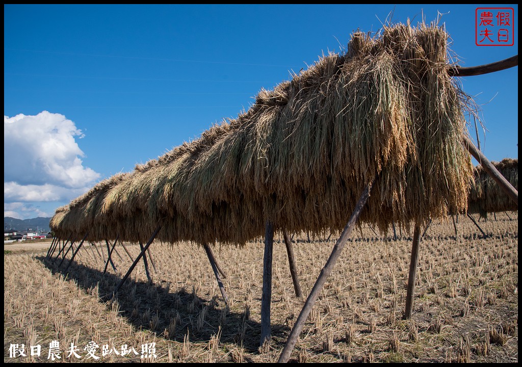 日本旅遊 | 岡山-吉備自行車道．入選「日本百大道路」之一/桃太郎 @假日農夫愛趴趴照