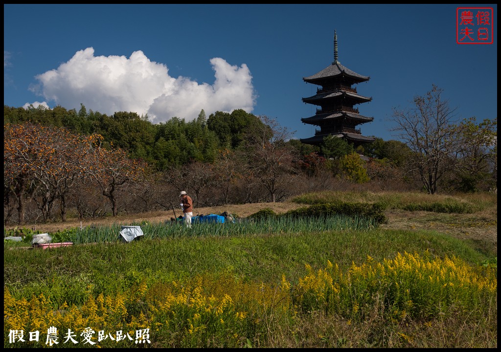 日本旅遊 | 岡山-吉備自行車道．入選「日本百大道路」之一/桃太郎 @假日農夫愛趴趴照