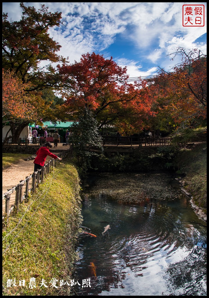 日本岡山-舊閑谷學校．日本國內第一間平民學校/交通方式/賞楓/自由行 @假日農夫愛趴趴照