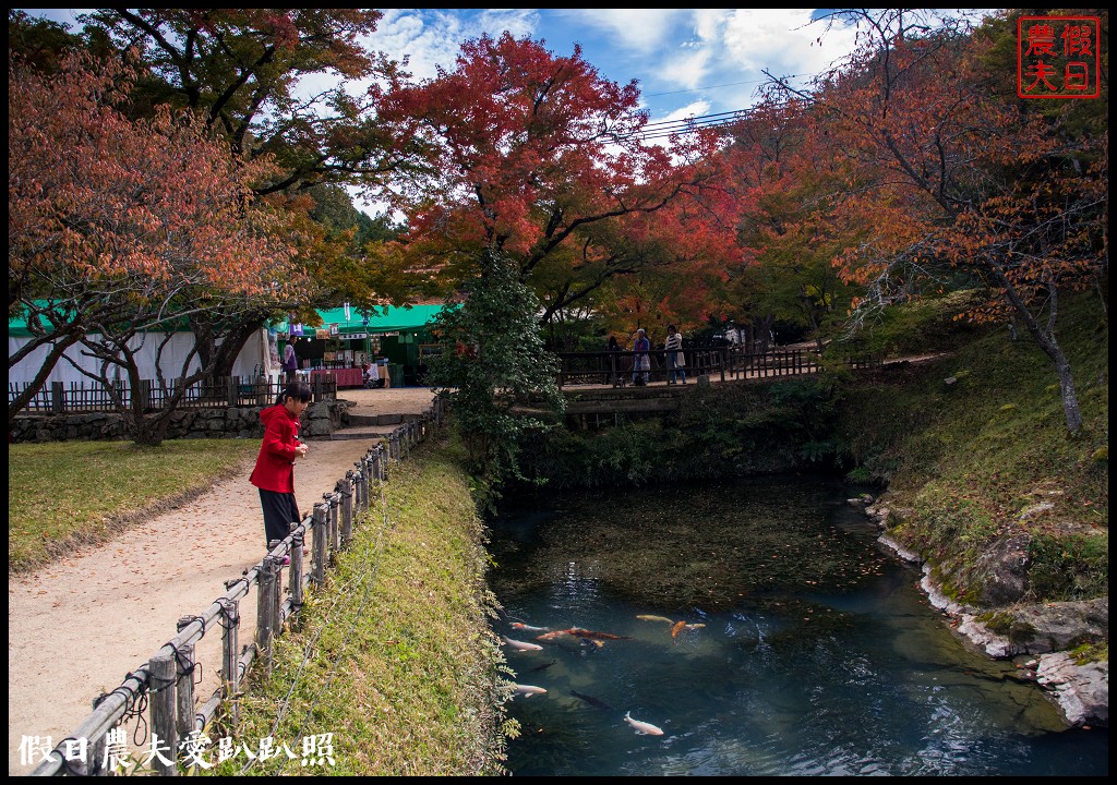 日本岡山-舊閑谷學校．日本國內第一間平民學校/交通方式/賞楓/自由行 @假日農夫愛趴趴照