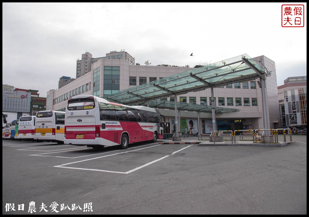 韓國旅遊 | 釜山到鎮海賞櫻一日遊．交通方式/行程安排/慶和火車站/余佐川羅曼史橋/長福山公園/鎮海軍港節/櫻花 @假日農夫愛趴趴照