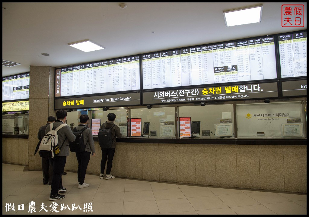 韓國旅遊 | 釜山到鎮海賞櫻一日遊．交通方式/行程安排/慶和火車站/余佐川羅曼史橋/長福山公園/鎮海軍港節/櫻花 @假日農夫愛趴趴照