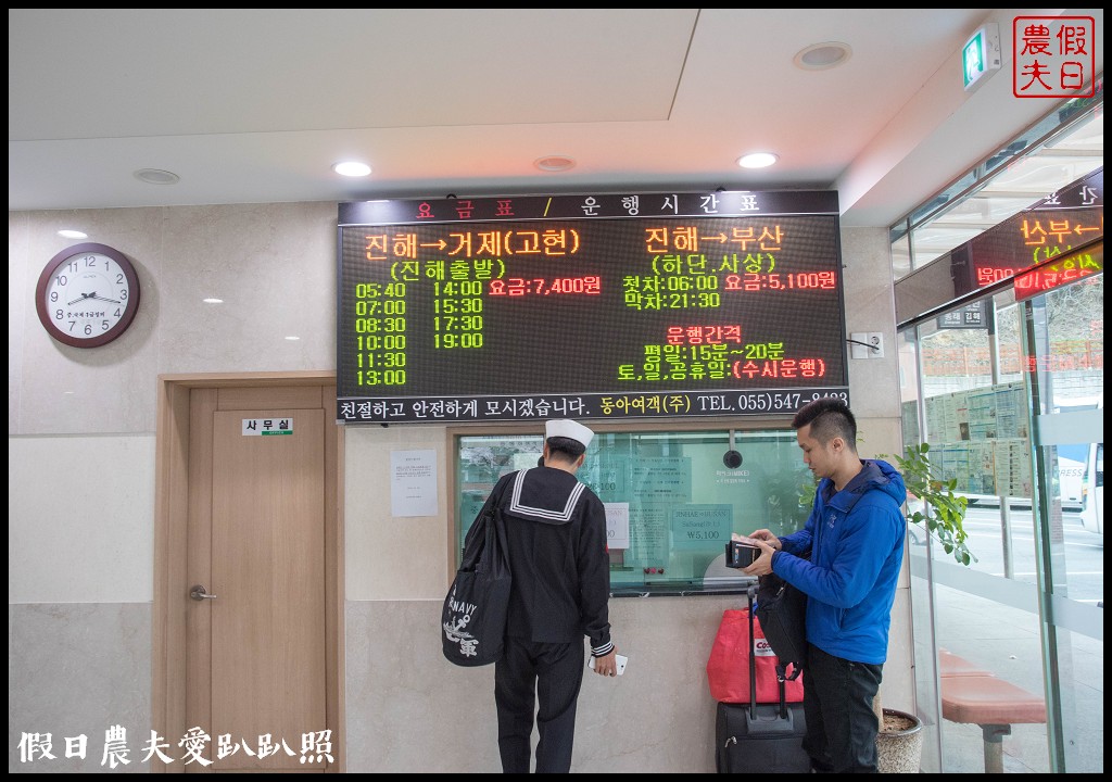 韓國旅遊 | 釜山到鎮海賞櫻一日遊．交通方式/行程安排/慶和火車站/余佐川羅曼史橋/長福山公園/鎮海軍港節/櫻花 @假日農夫愛趴趴照