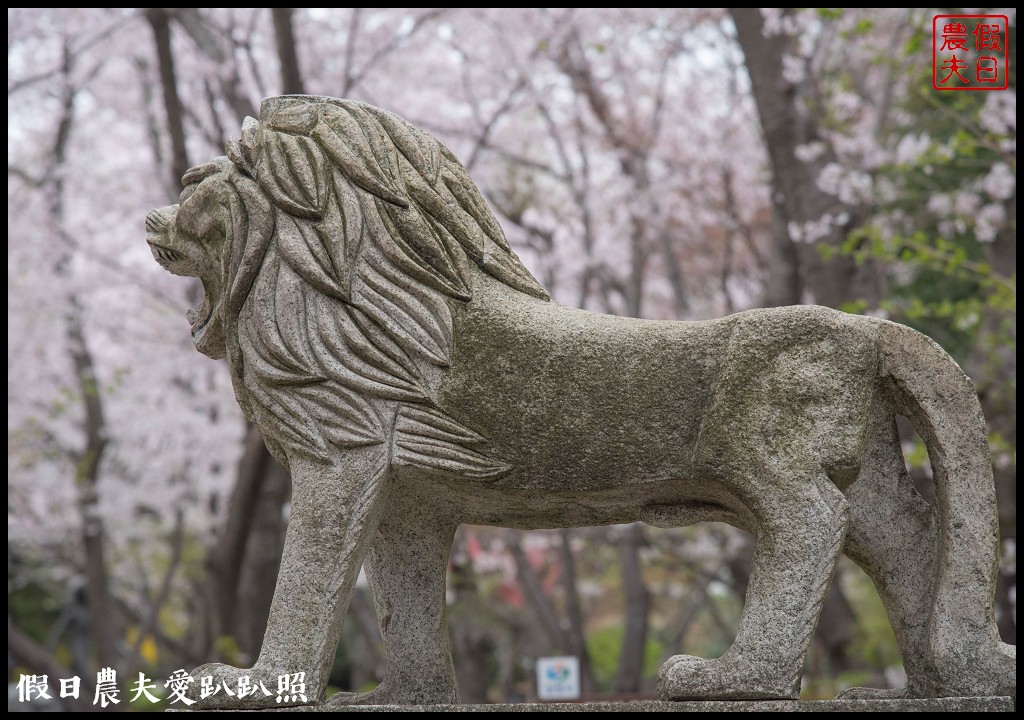 韓國旅遊 | 釜山到鎮海賞櫻一日遊．交通方式/行程安排/慶和火車站/余佐川羅曼史橋/長福山公園/鎮海軍港節/櫻花 @假日農夫愛趴趴照