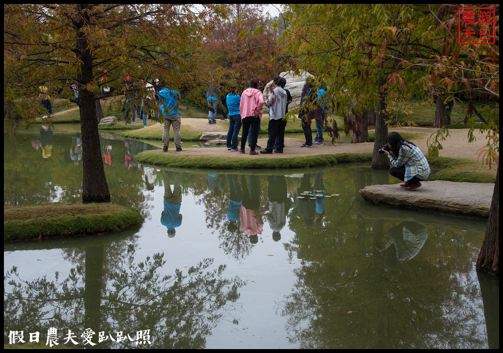 雲林景點 | 虎尾青埔落羽松秘境．日式庭園風/免費參觀 @假日農夫愛趴趴照