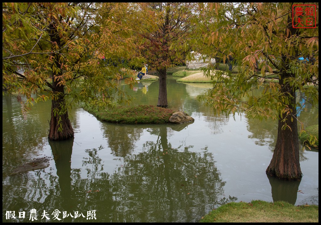 雲林景點 | 虎尾青埔落羽松秘境．日式庭園風/免費參觀 @假日農夫愛趴趴照