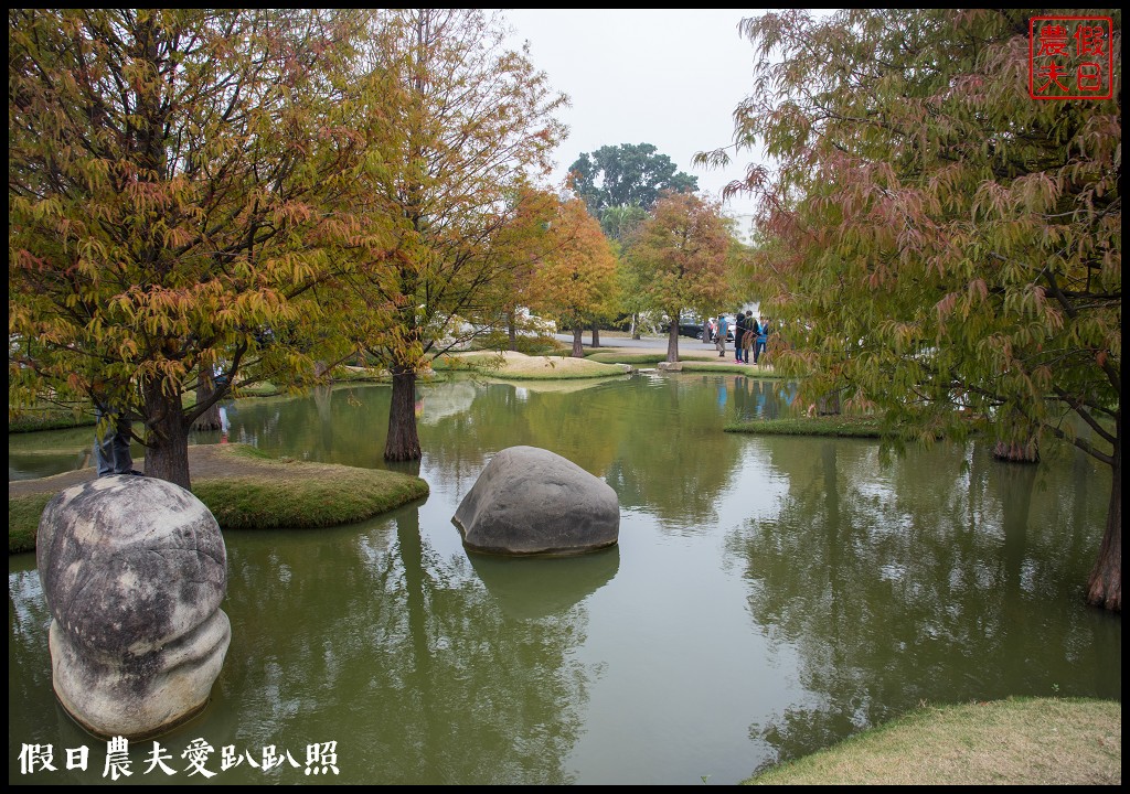 雲林景點 | 虎尾青埔落羽松秘境．日式庭園風/免費參觀 @假日農夫愛趴趴照