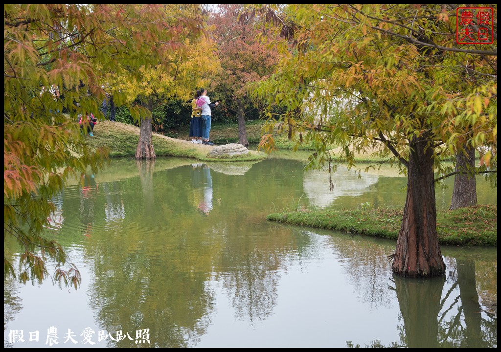 雲林景點 | 虎尾青埔落羽松秘境．日式庭園風/免費參觀 @假日農夫愛趴趴照