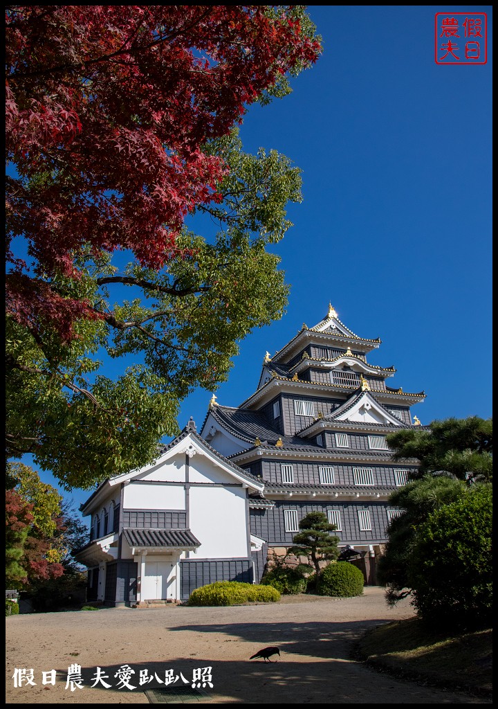 日本旅遊 | 岡山後樂園．米其林3星級景點日本三大名園之一/岡山城/幻想庭園 @假日農夫愛趴趴照