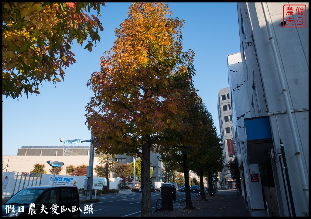 日本旅遊 | 岡山後樂園．米其林3星級景點日本三大名園之一/岡山城/幻想庭園 @假日農夫愛趴趴照