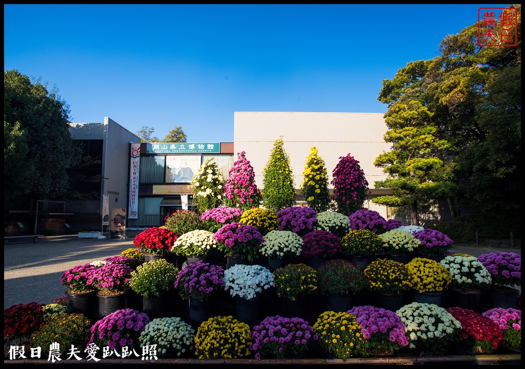 日本旅遊 | 岡山後樂園．米其林3星級景點日本三大名園之一/岡山城/幻想庭園 @假日農夫愛趴趴照