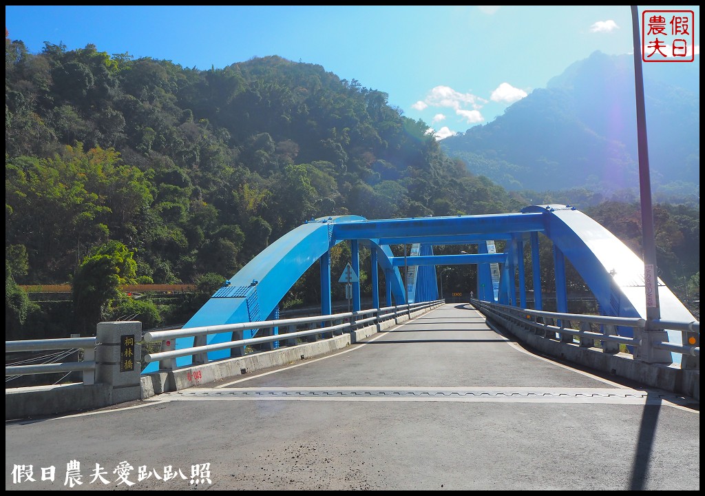 南投旅遊 | 信義外坪頂蔡家秘境梅園．古厝搭配老梅樹光影很迷人 @假日農夫愛趴趴照