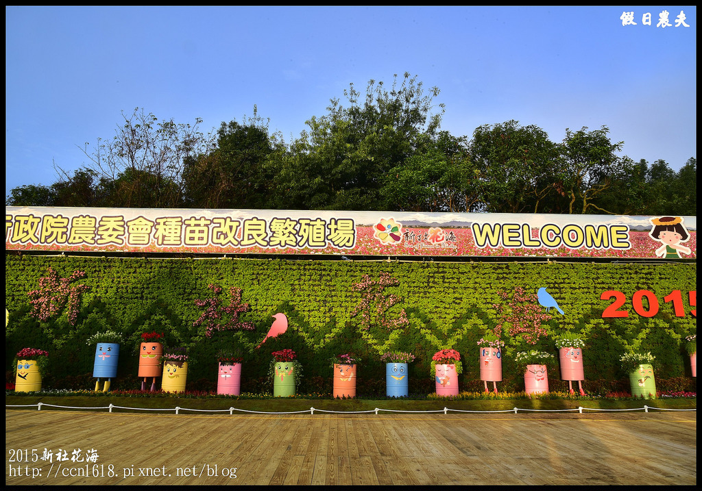 【台中旅遊】新社花海暨臺中國際花毯節於11/9正式登場/交通資訊懶人包/展館/免費/賞花/一日遊 @假日農夫愛趴趴照