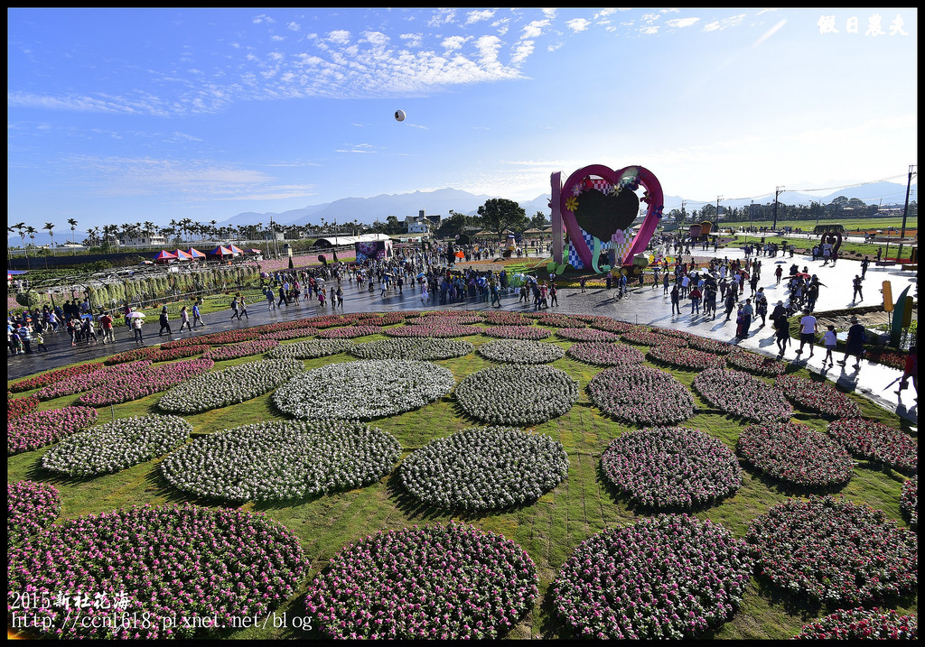 【台中旅遊】新社花海暨臺中國際花毯節於11/9正式登場/交通資訊懶人包/展館/免費/賞花/一日遊 @假日農夫愛趴趴照