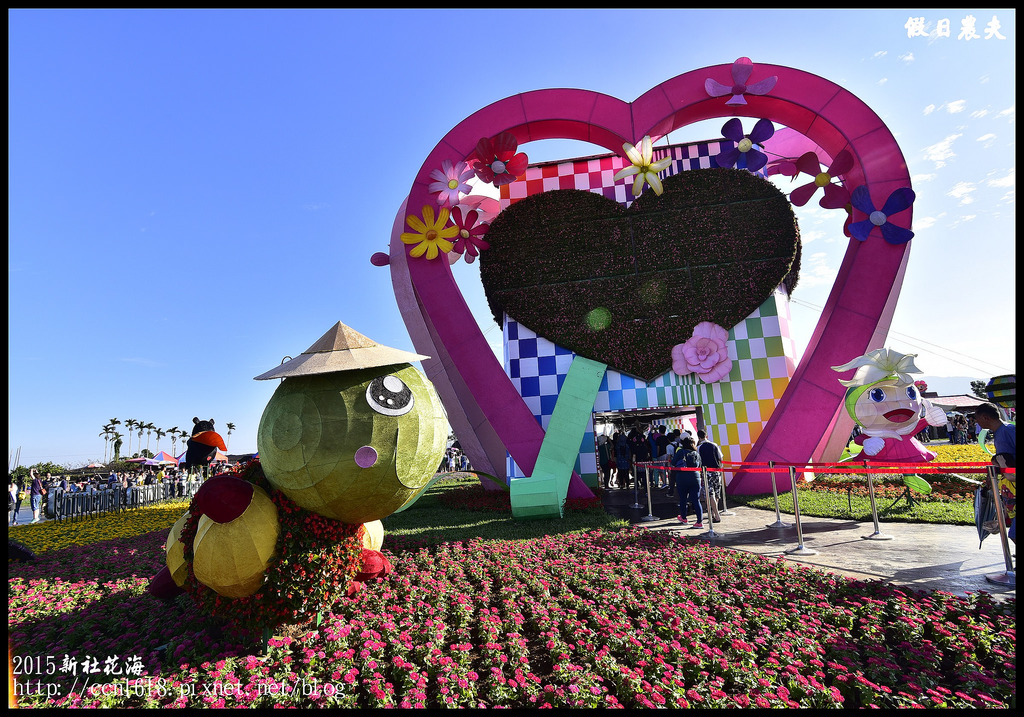 【台中旅遊】新社花海暨臺中國際花毯節於11/9正式登場/交通資訊懶人包/展館/免費/賞花/一日遊 @假日農夫愛趴趴照