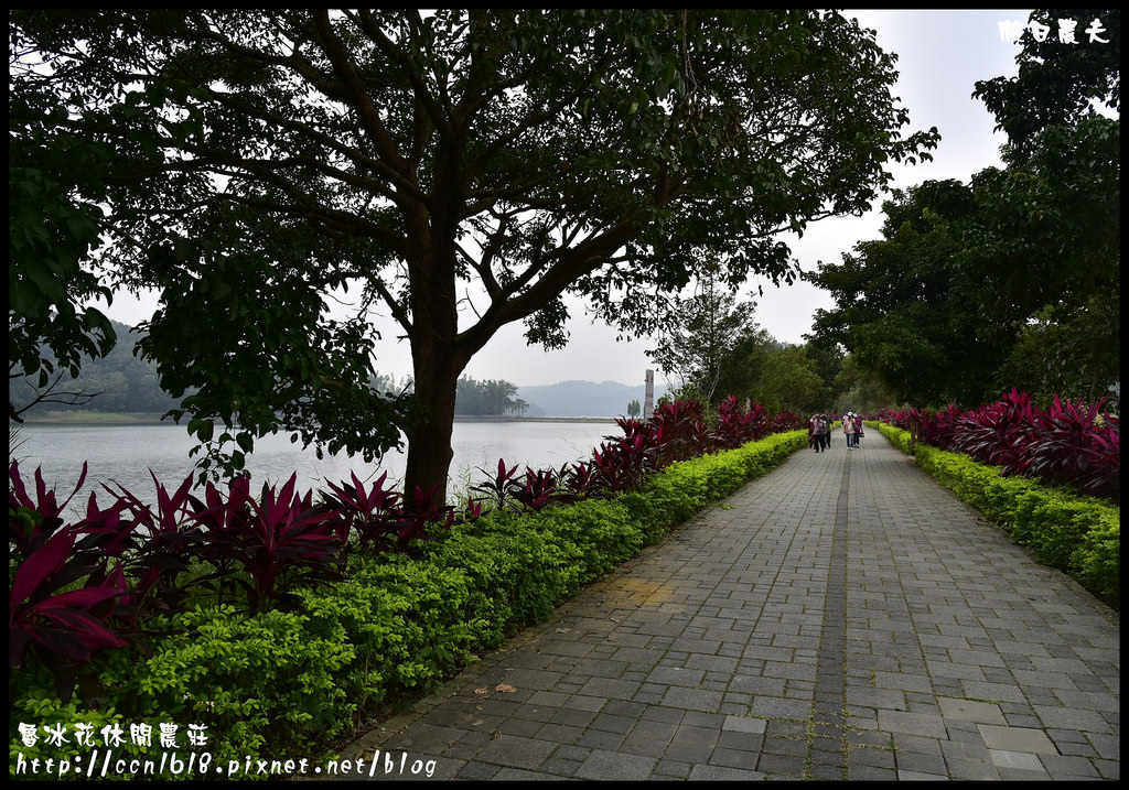 【苗栗旅遊】魯冰花休閒農莊．電影魯冰花拍攝場景/探訪明德水庫秘境湖濱步道/一日遊/露營/二日遊 @假日農夫愛趴趴照