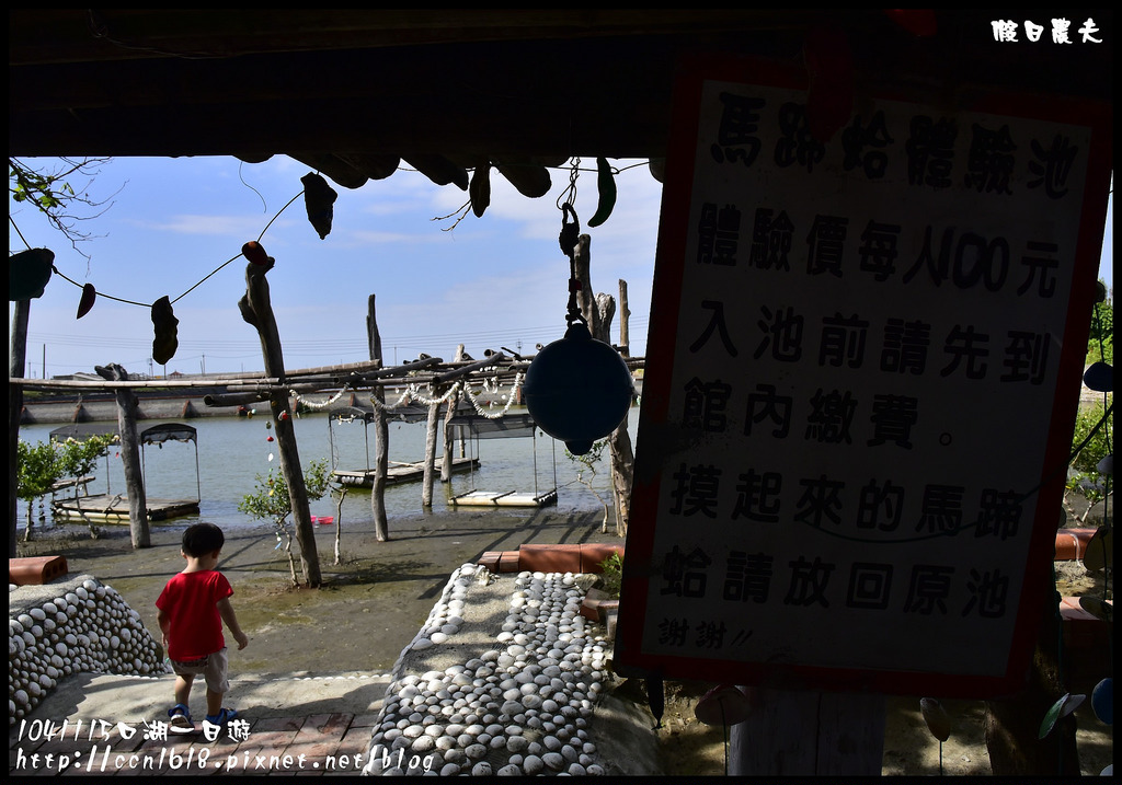 【雲林旅遊】104年雲林黃金山海線掏金農遊趣．口湖好好玩/馬蹄蛤主題館/明湖餐廳/成龍濕地/烏魚子/第一鰻波/一日遊/親子遊 @假日農夫愛趴趴照