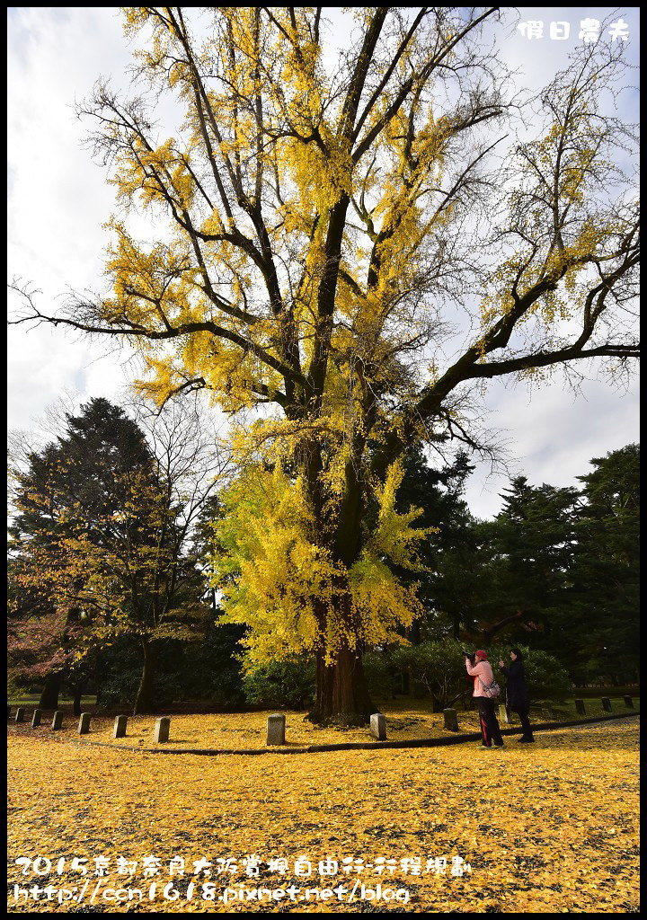 【日本旅遊】京都大阪奈良賞楓自由行．住宿交通行程規劃/京都御苑/嵐山渡月橋/常極光寺/天龍寺 @假日農夫愛趴趴照