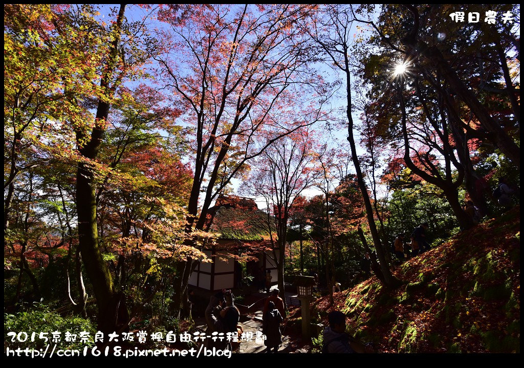 【日本旅遊】京都大阪奈良賞楓自由行．住宿交通行程規劃/京都御苑/嵐山渡月橋/常極光寺/天龍寺 @假日農夫愛趴趴照