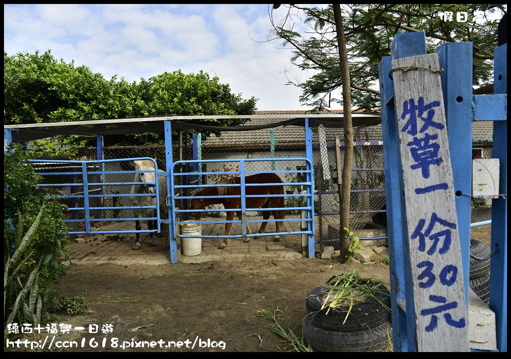 【彰化旅遊】線西+福興一日遊/白馬的家/塭仔漁港/知文堂創藝書坊/喵思咖啡 @假日農夫愛趴趴照