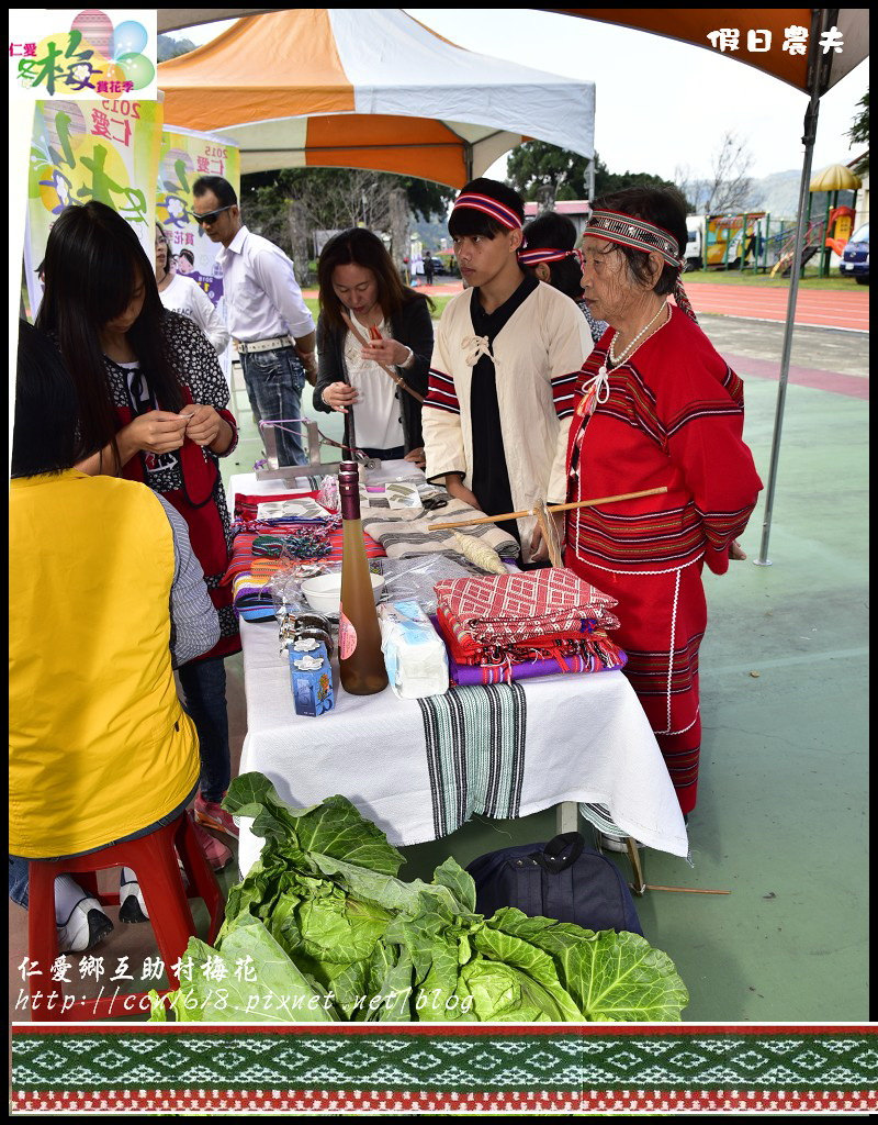 【南投旅遊】2015仁愛冬梅賞花季．南投花卉嘉年華‧花開全南投/賞梅請準備/一日遊/免費/梅花風味餐 @假日農夫愛趴趴照