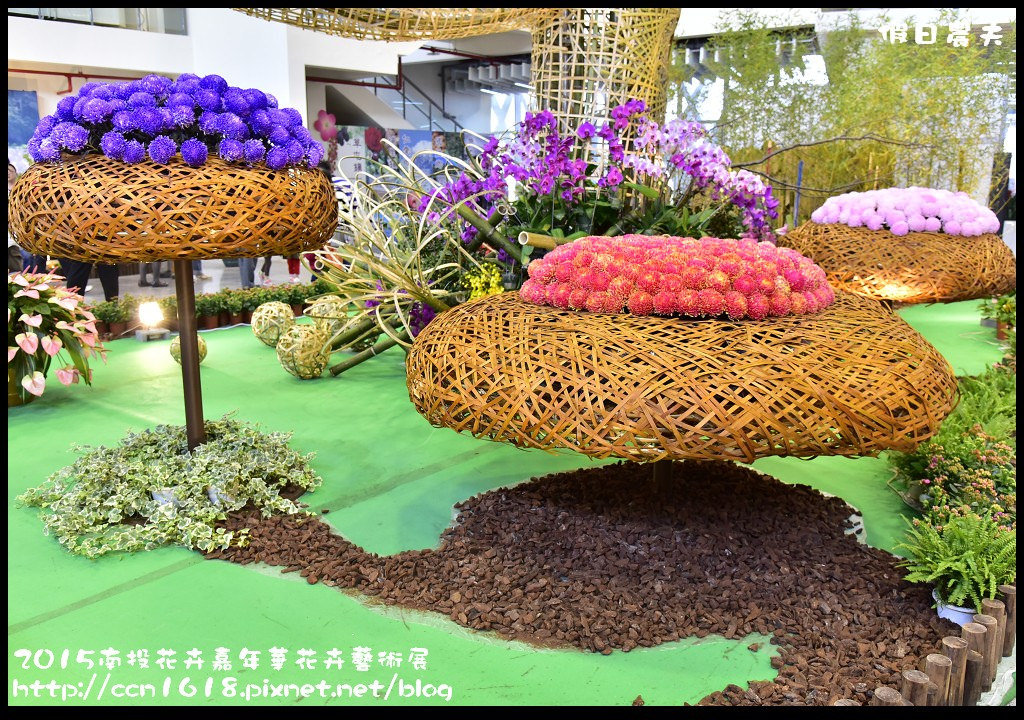 【南投旅遊】2015南投花卉嘉年華花卉藝術展．花開全南投幸福在心頭/免費參觀/一日遊 @假日農夫愛趴趴照