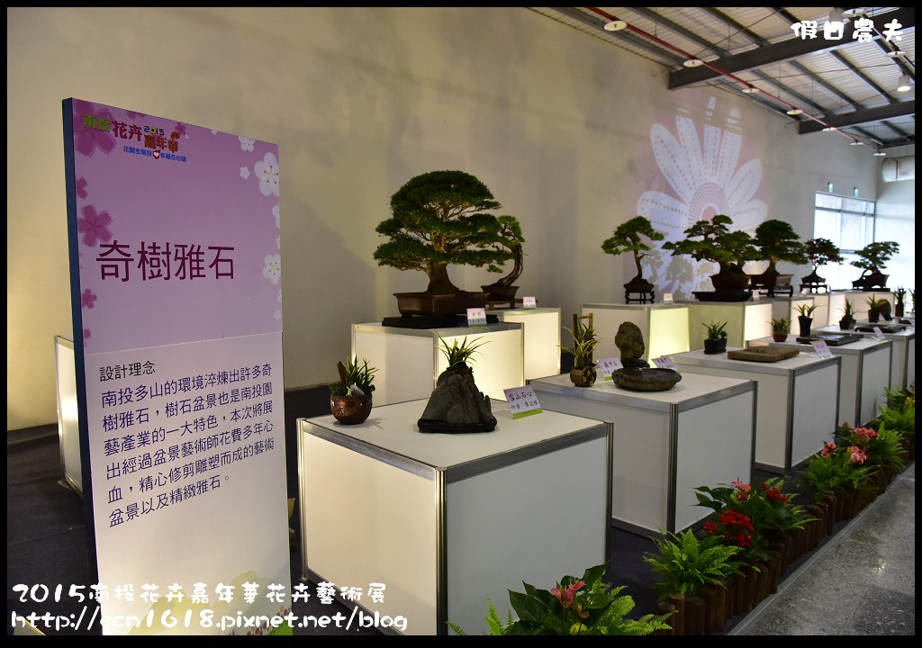 【南投旅遊】2015南投花卉嘉年華花卉藝術展．花開全南投幸福在心頭/免費參觀/一日遊 @假日農夫愛趴趴照