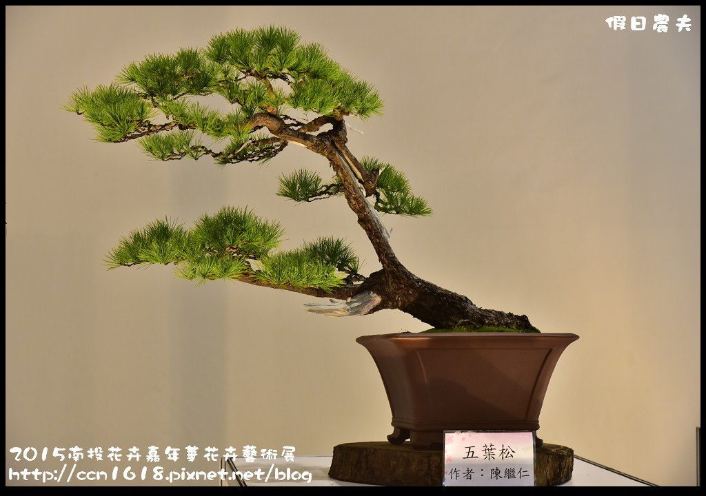 【南投旅遊】2015南投花卉嘉年華花卉藝術展．花開全南投幸福在心頭/免費參觀/一日遊 @假日農夫愛趴趴照