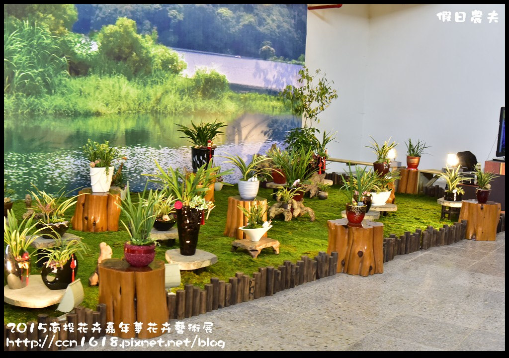 【南投旅遊】2015南投花卉嘉年華花卉藝術展．花開全南投幸福在心頭/免費參觀/一日遊 @假日農夫愛趴趴照