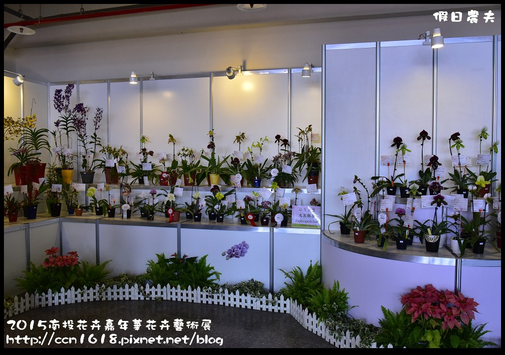 【南投旅遊】2015南投花卉嘉年華花卉藝術展．花開全南投幸福在心頭/免費參觀/一日遊 @假日農夫愛趴趴照