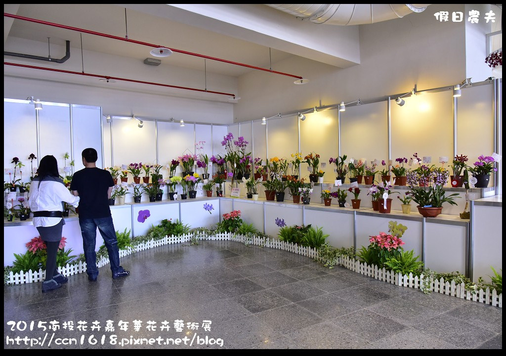 【南投旅遊】2015南投花卉嘉年華花卉藝術展．花開全南投幸福在心頭/免費參觀/一日遊 @假日農夫愛趴趴照