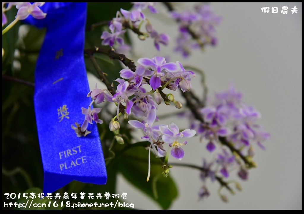 【南投旅遊】2015南投花卉嘉年華花卉藝術展．花開全南投幸福在心頭/免費參觀/一日遊 @假日農夫愛趴趴照