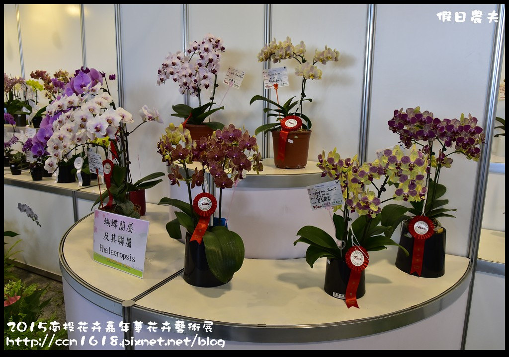 【南投旅遊】2015南投花卉嘉年華花卉藝術展．花開全南投幸福在心頭/免費參觀/一日遊 @假日農夫愛趴趴照