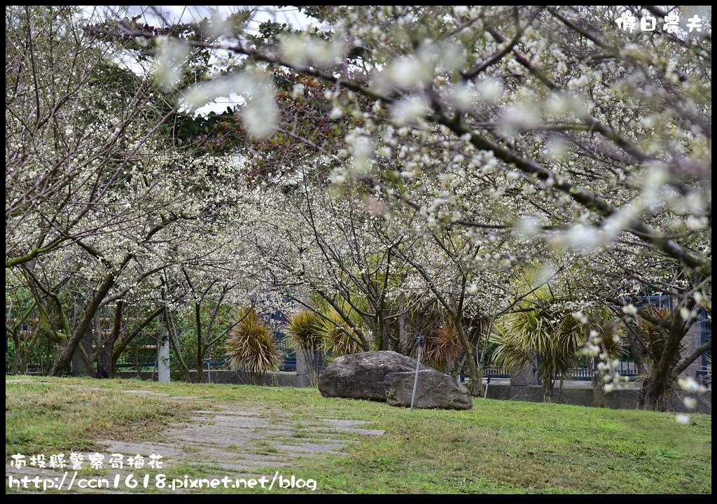 四季花曆賞花情報懶人包．梅花、櫻花、桐花、荷花、楓葉、落羽松/花季景點一覽表/跟著季節去賞花旅遊/賞花祕境 @假日農夫愛趴趴照