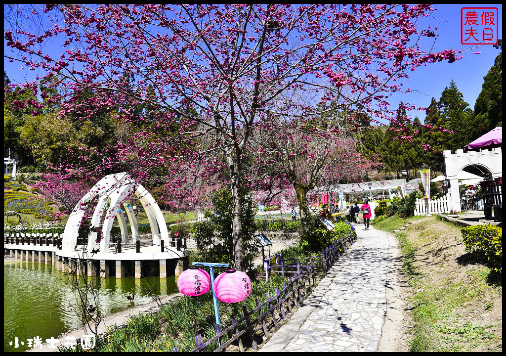 四季花曆賞花情報懶人包．梅花、櫻花、桐花、荷花、楓葉、落羽松/花季景點一覽表/跟著季節去賞花旅遊/賞花祕境 @假日農夫愛趴趴照