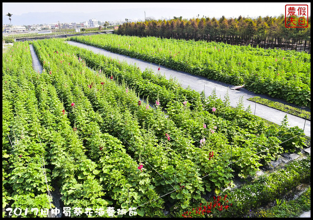 四季花曆賞花情報懶人包．梅花、櫻花、桐花、荷花、楓葉、落羽松/花季景點一覽表/跟著季節去賞花旅遊/賞花祕境 @假日農夫愛趴趴照