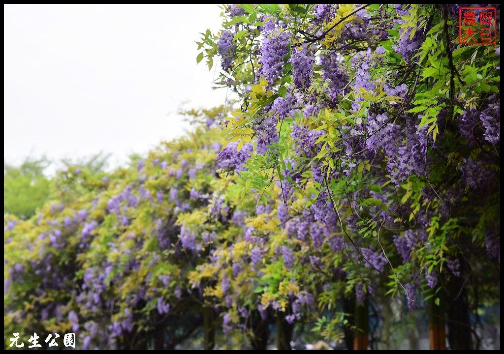 四季花曆賞花情報懶人包．梅花、櫻花、桐花、荷花、楓葉、落羽松/花季景點一覽表/跟著季節去賞花旅遊/賞花祕境 @假日農夫愛趴趴照